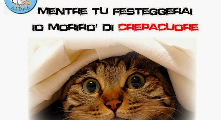 Immagine correlata