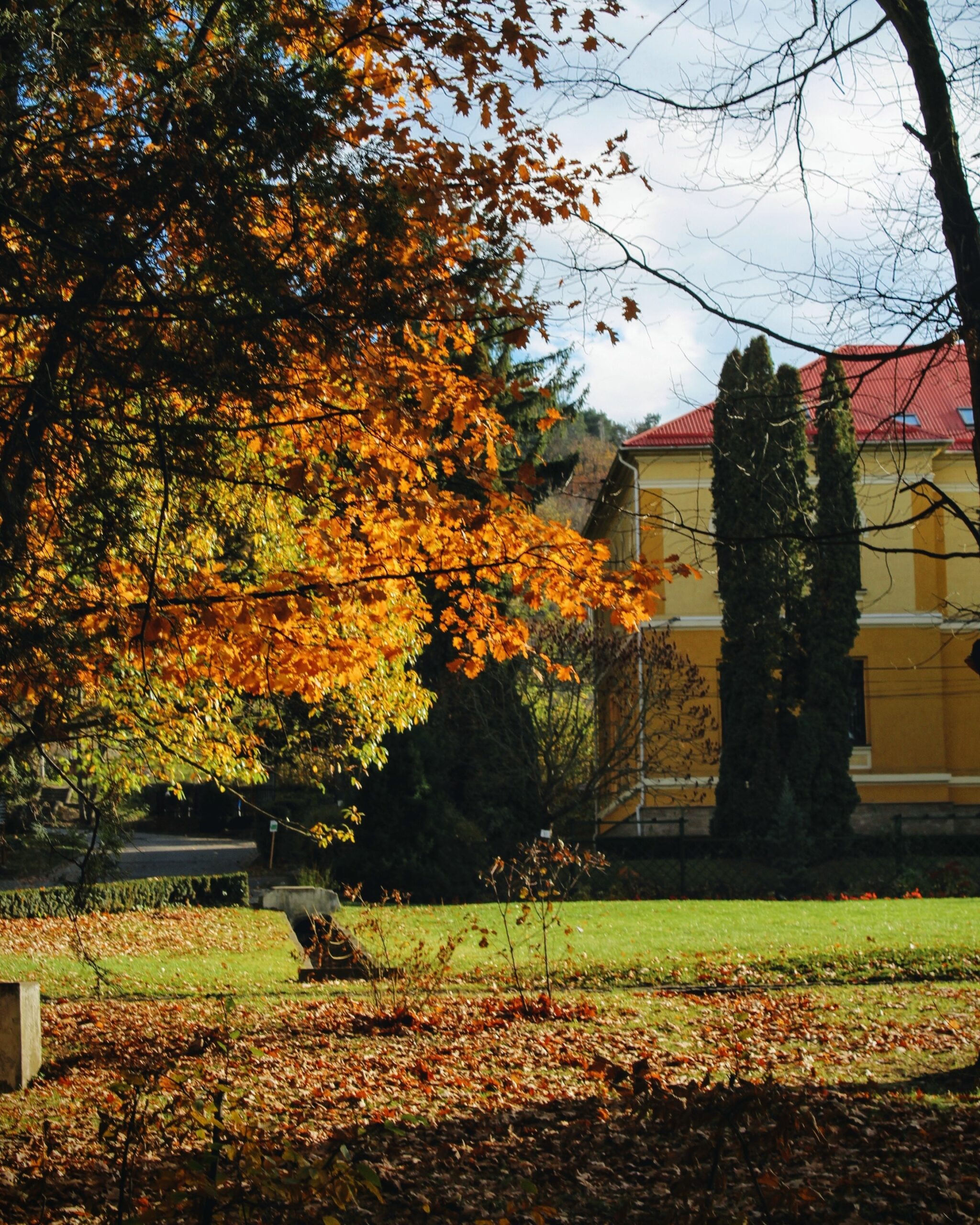 brown and green trees near brown concrete building during daytime