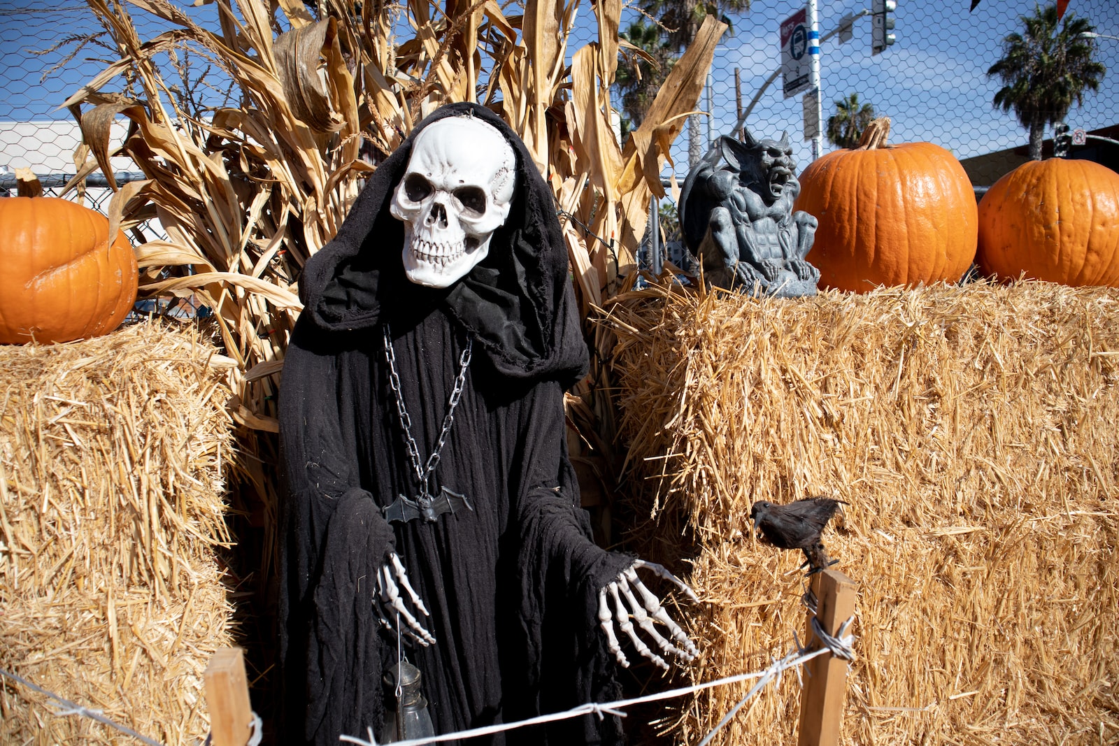 person in black and white mask and black robe holding brown stick