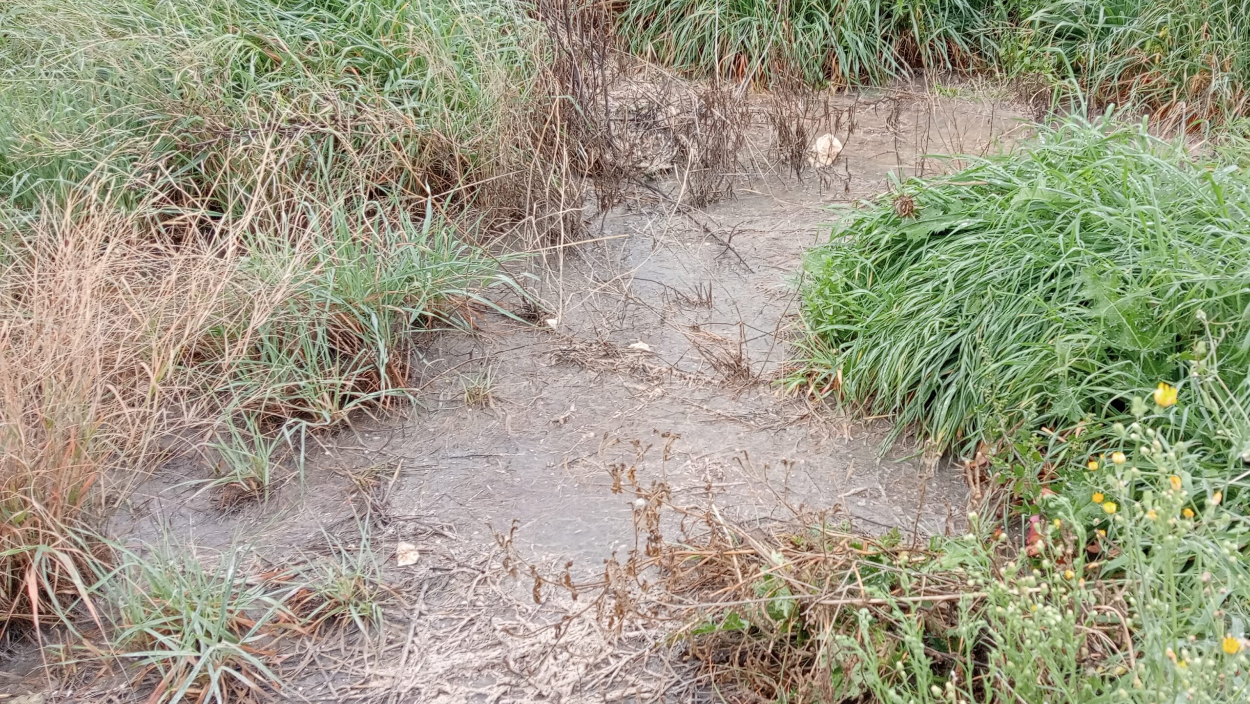 Sversamento di liquami nel terreno, risoluzione in tempi record