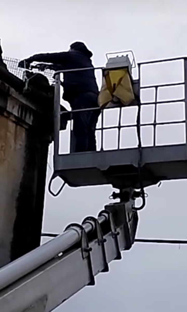 Salvato un gatto su una terrazza pericolante