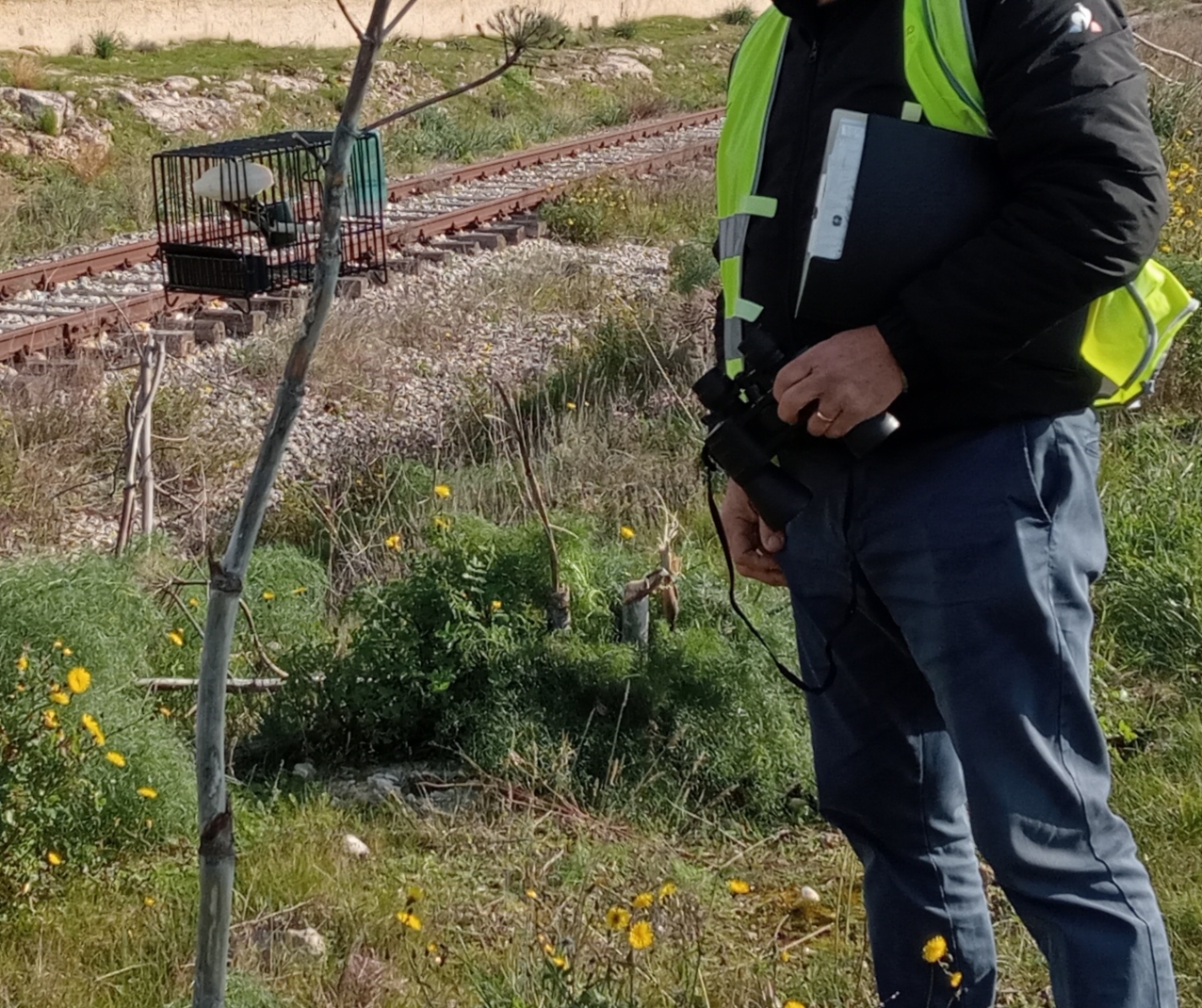Bracconaggio, sequestrato impianto fuorilegge per la cattura di uccelli
