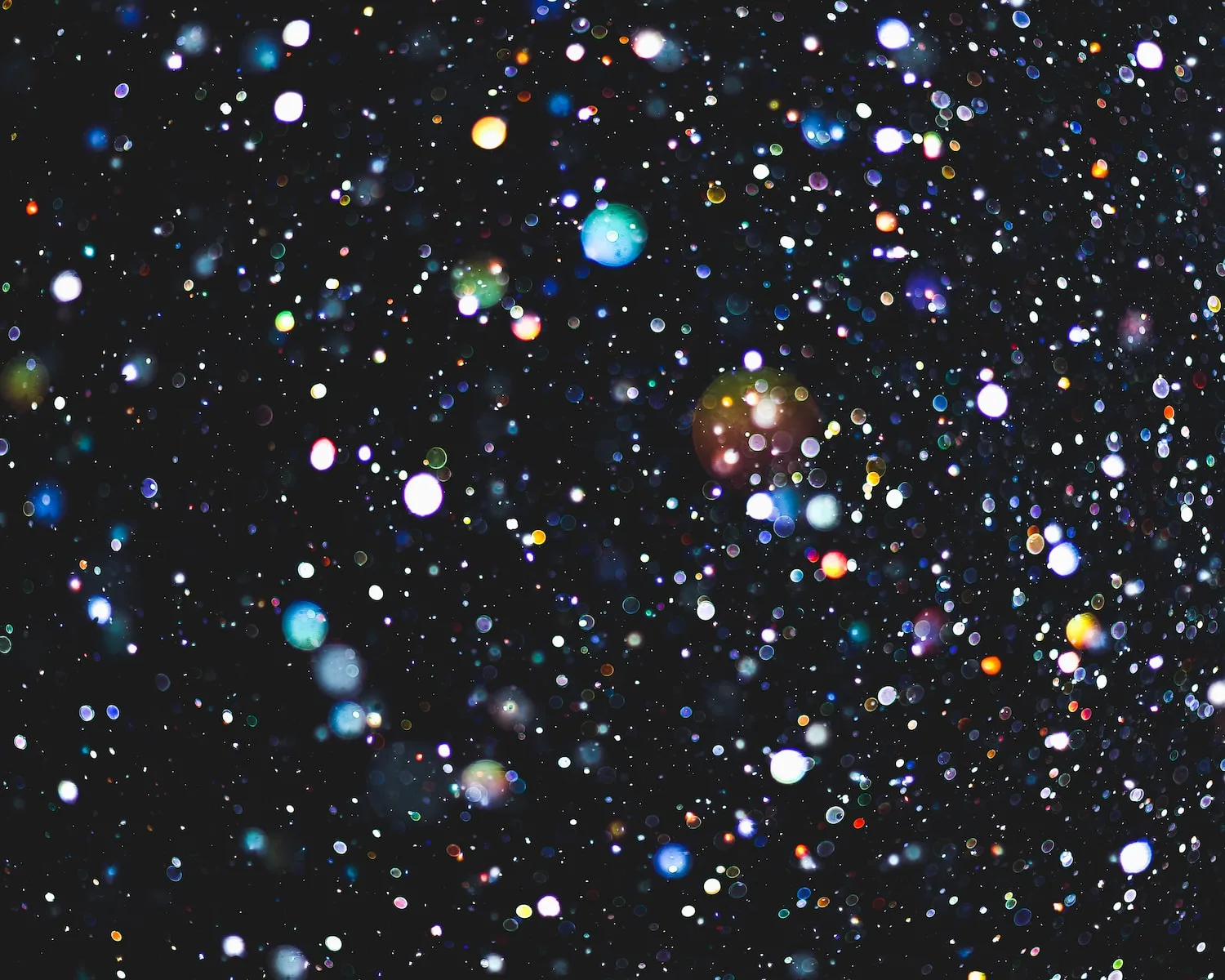 multicolored bokeh lights