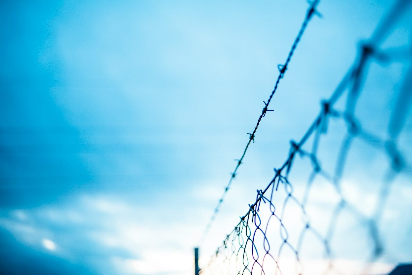 barbed wire