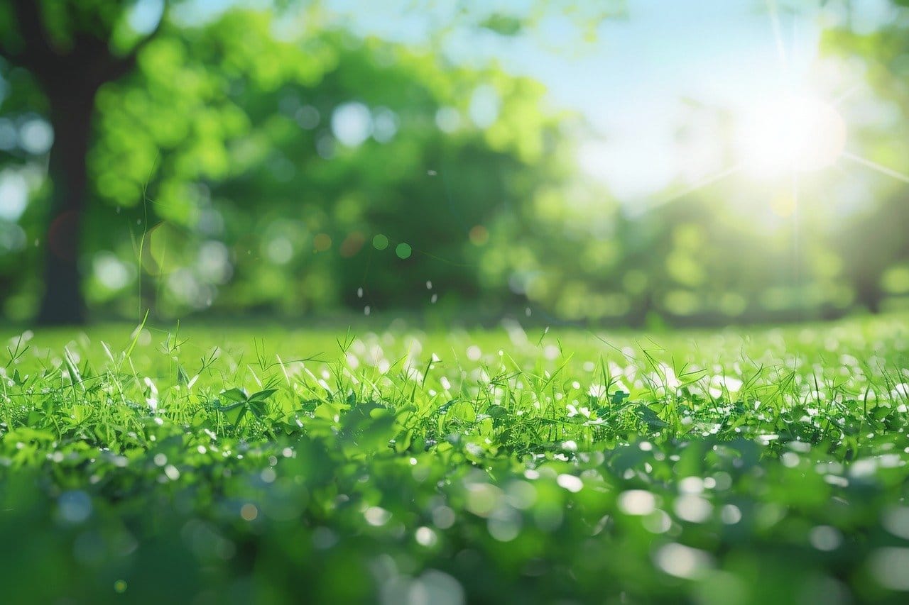 ai generated, grass, dewdrops