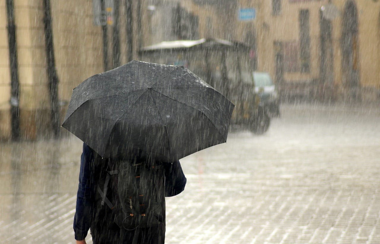 rain, umbrella, man