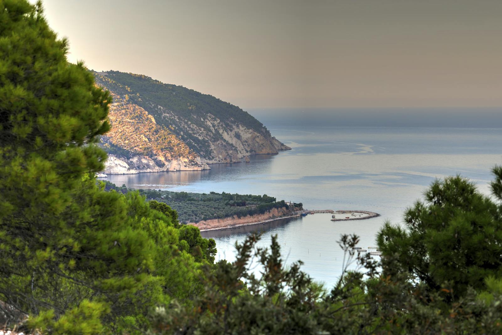 A breathtaking view of Gargano's coastline in Puglia, Italy, featuring lush greenery and the Adriatic Sea.