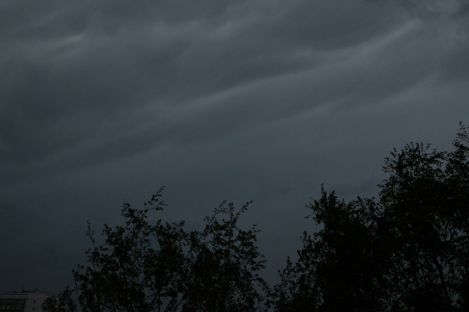 a plane flying in a cloudy sky over trees