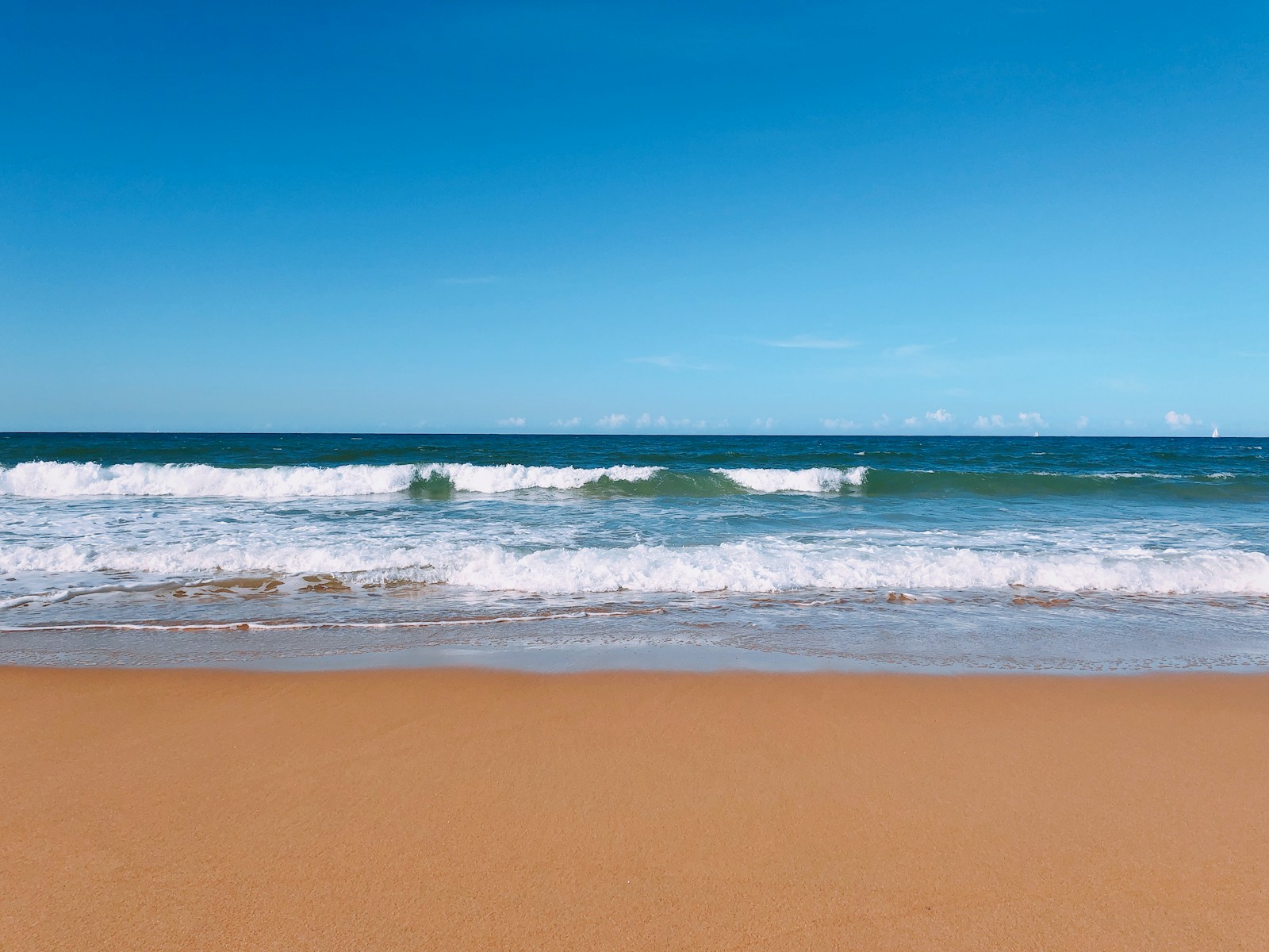 seahore during daytime