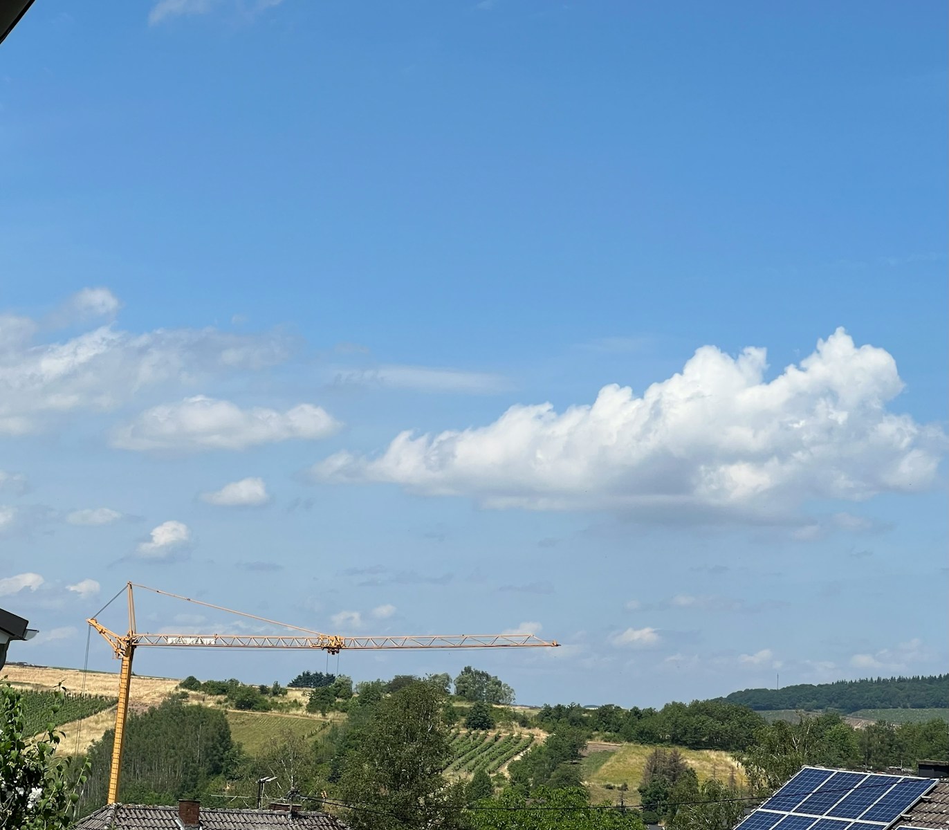 a crane that is standing in the sky