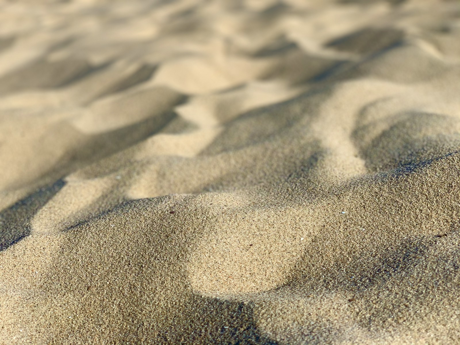 brown sand with footprints during daytime