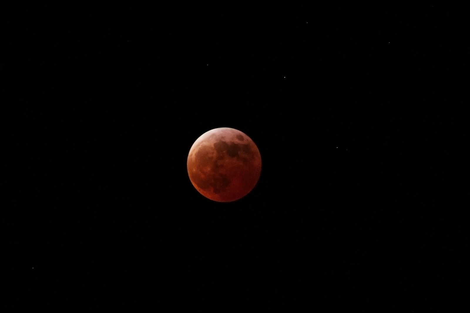The blood moon shines brightly against the night sky.