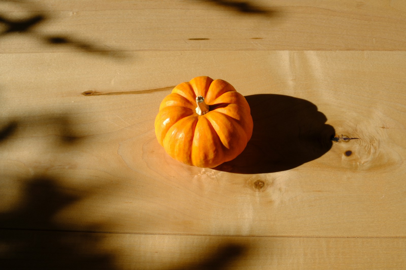 A small, bright orange pumpkin sits on a wooden surface.