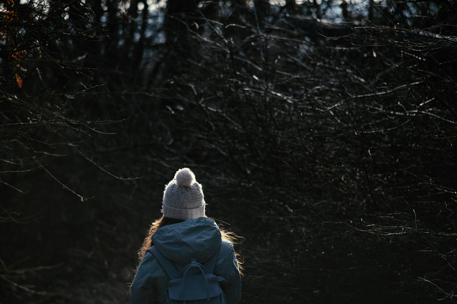a person with a backpack walking through a forest