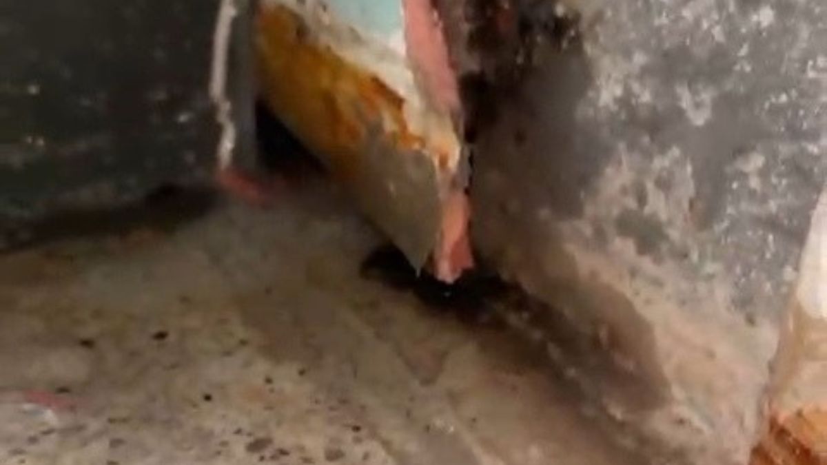 Liceo Galilei-Moro Aspettiamo una tragedia. Sit-in sabato