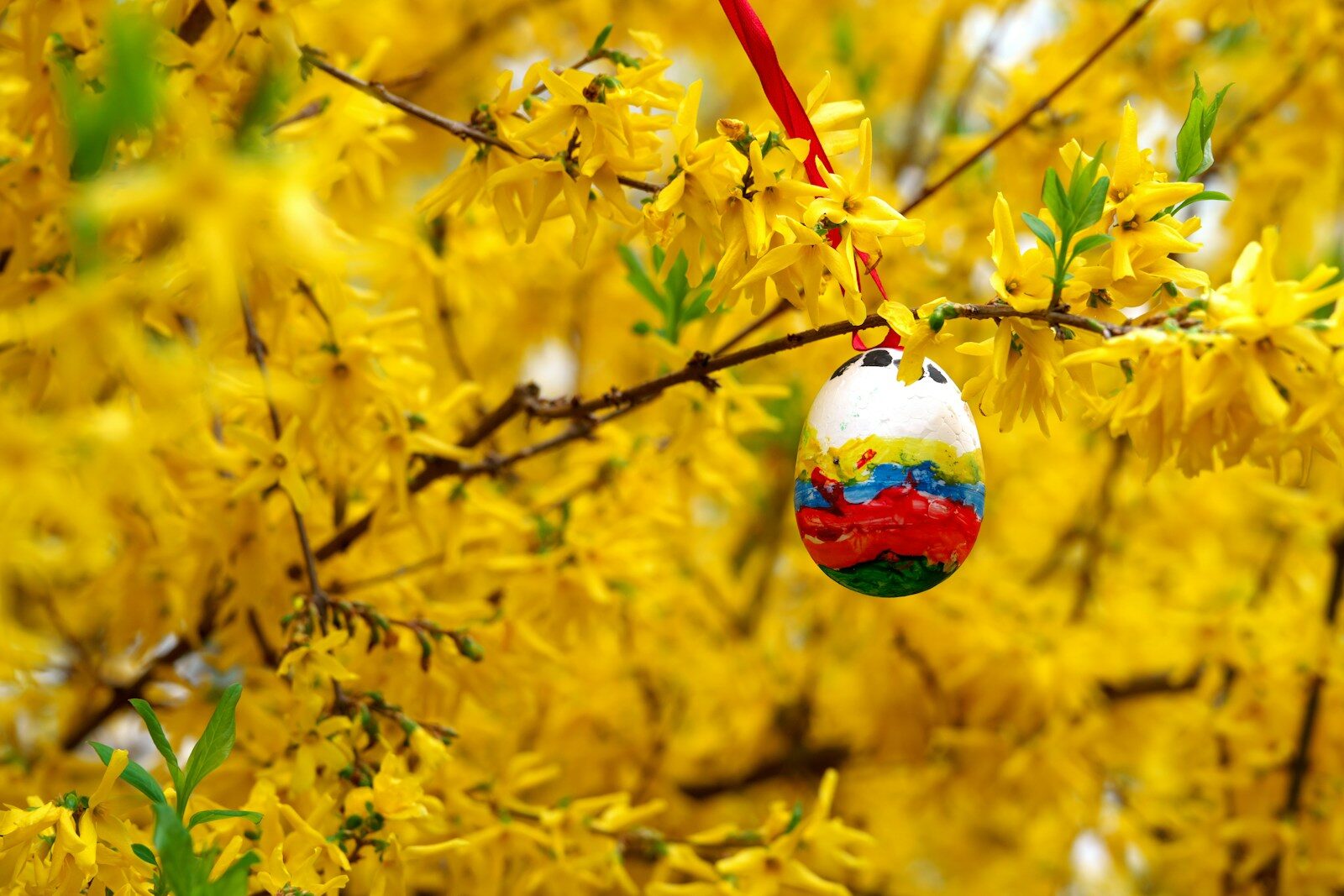 An easter egg hangs in a yellow flowering bush.