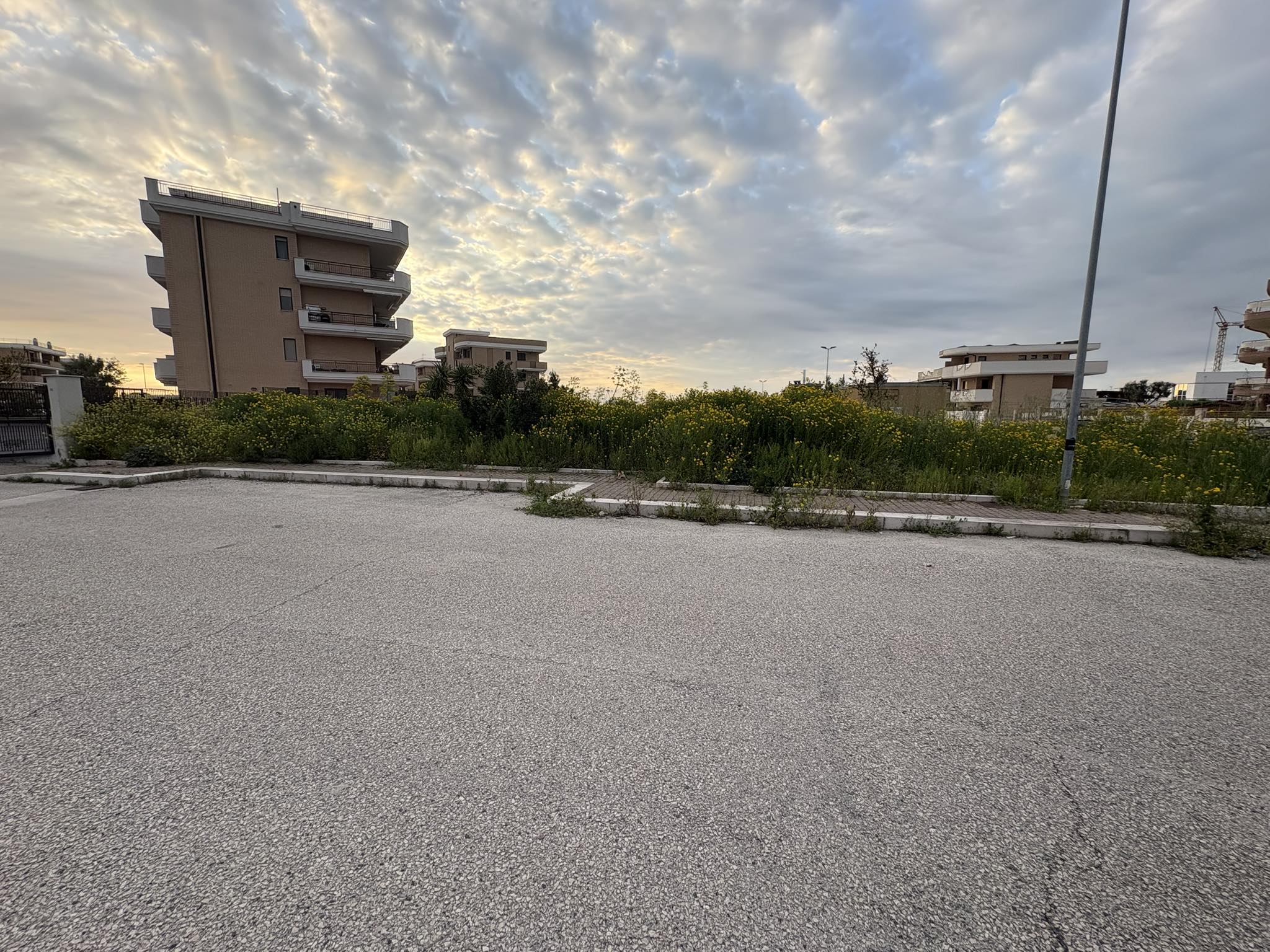 manfredonia dai comparti alla rinascita la sfida dei volontari per risanare i quartieri da Ilsipontino.net manfredonia dai comparti alla rinascita la sfida dei volontari per risanare i quartieri