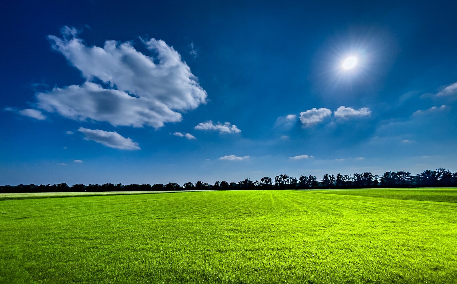 a green field under a blue sky with clouds