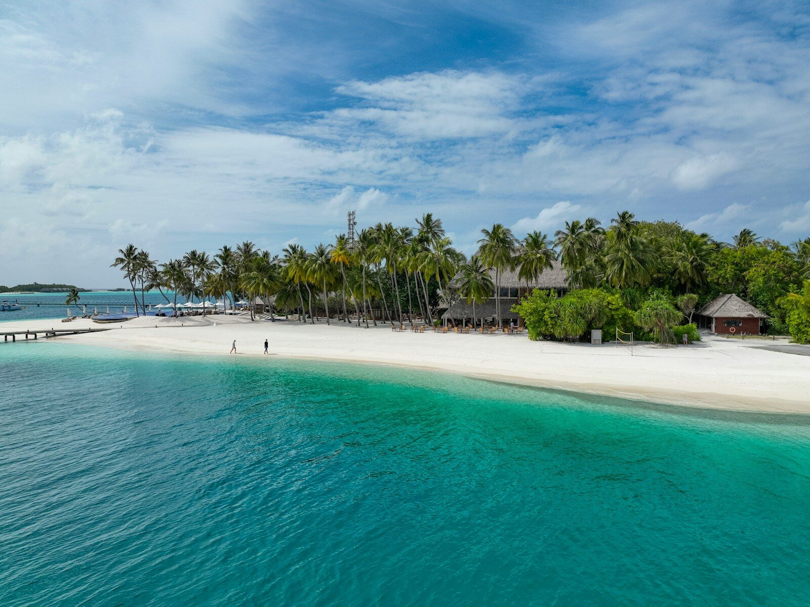 a white sandy beach surrounded by palm trees