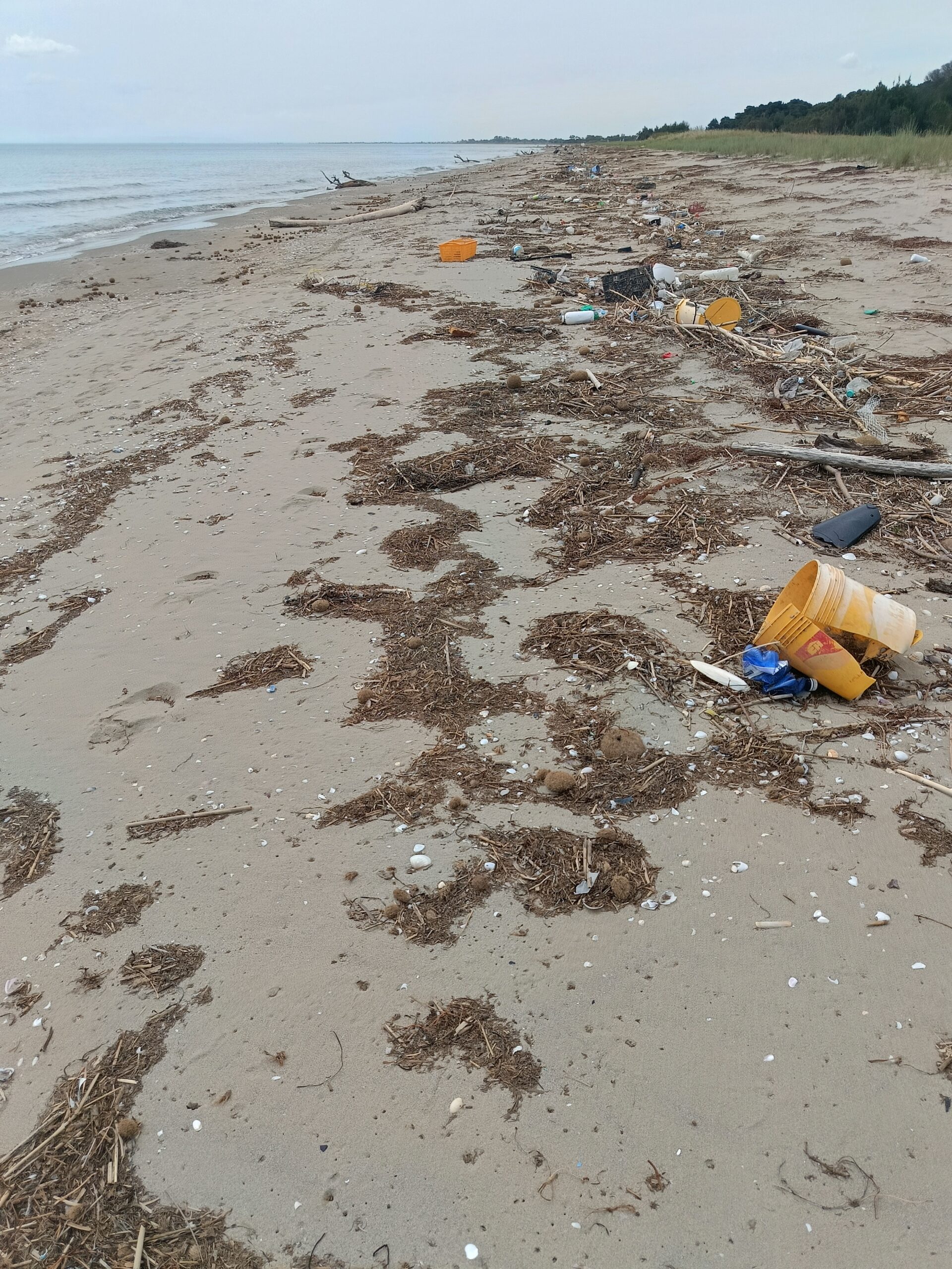Spiagge di Manfredonia nel totale abbandono a pochi giorni dall’avvio della stagione balneare 2026
