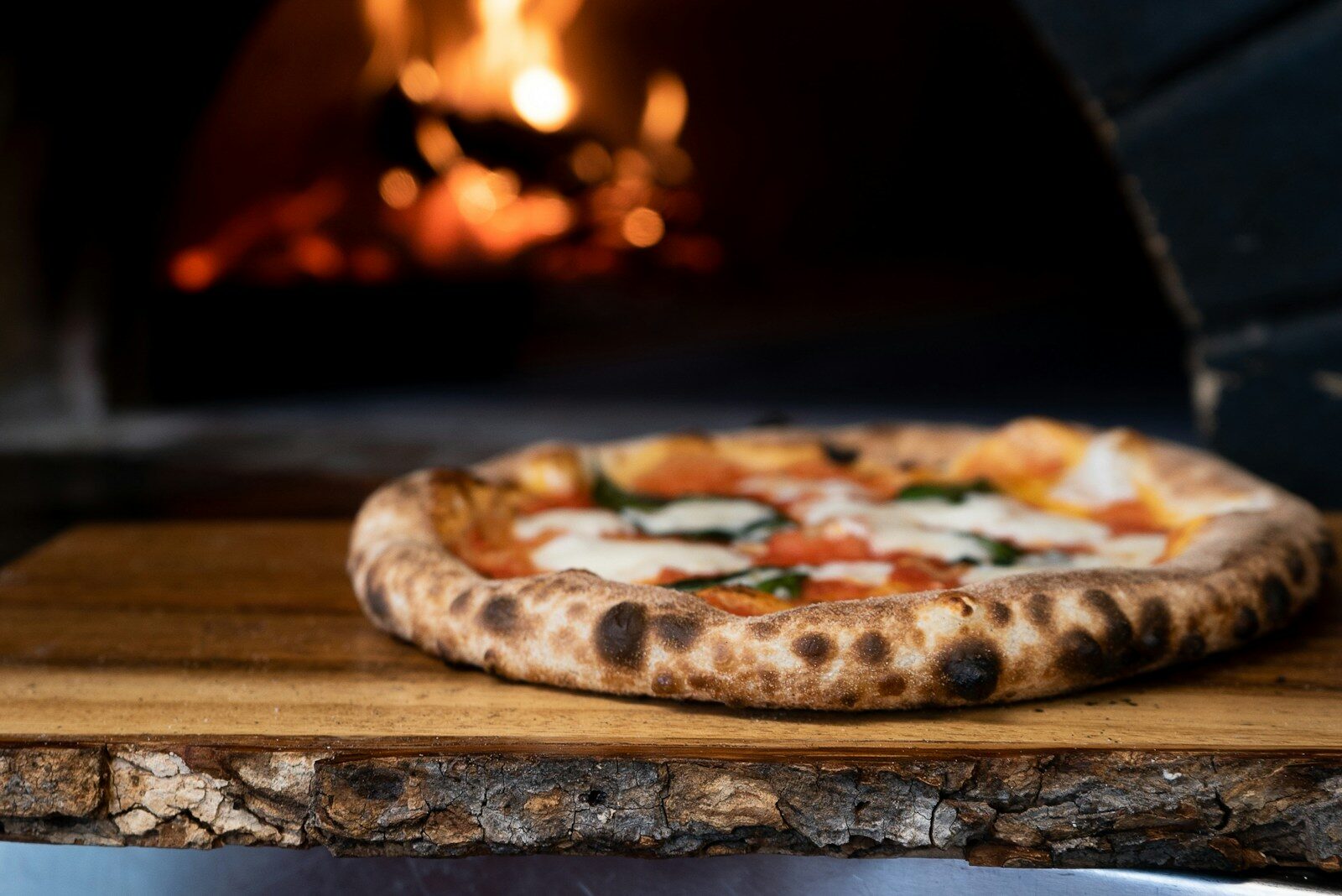 manfredonia coppia va via senza pagare in una pizzeria del porto turistico l8217appello da Ilsipontino.net manfredonia coppia va via senza pagare in una pizzeria del porto turistico l8217appello