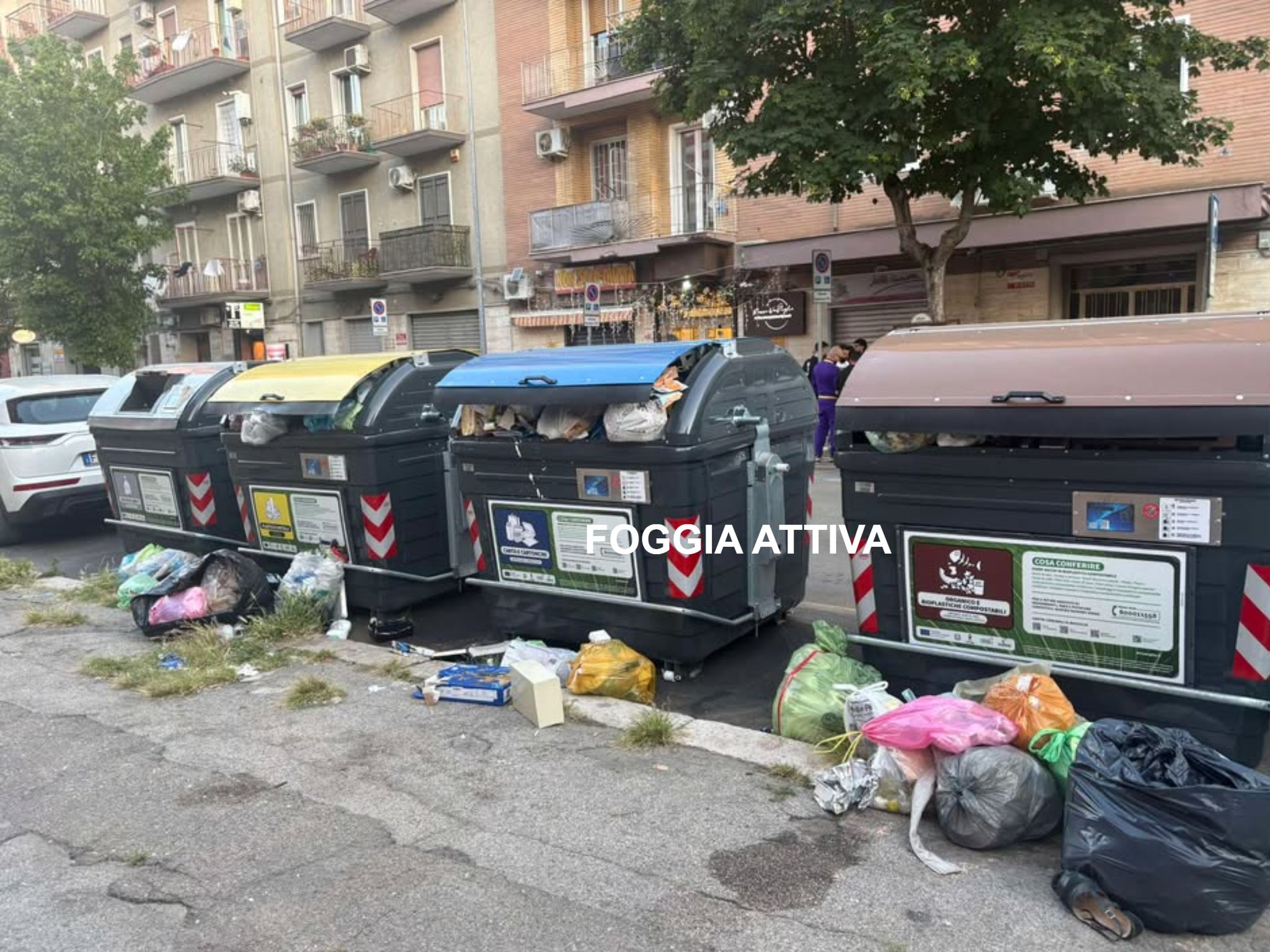 foggiani dietro le sbarre dei cassonetti da Ilsipontino.net foggiani dietro le sbarre dei cassonetti
