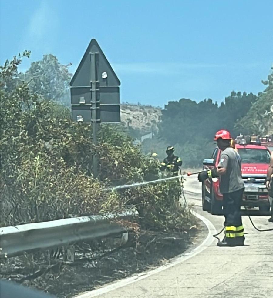 ultim8217ora san salvatore incendio nella zona belvedere da Ilsipontino.net ultim8217ora san salvatore incendio nella zona belvedere