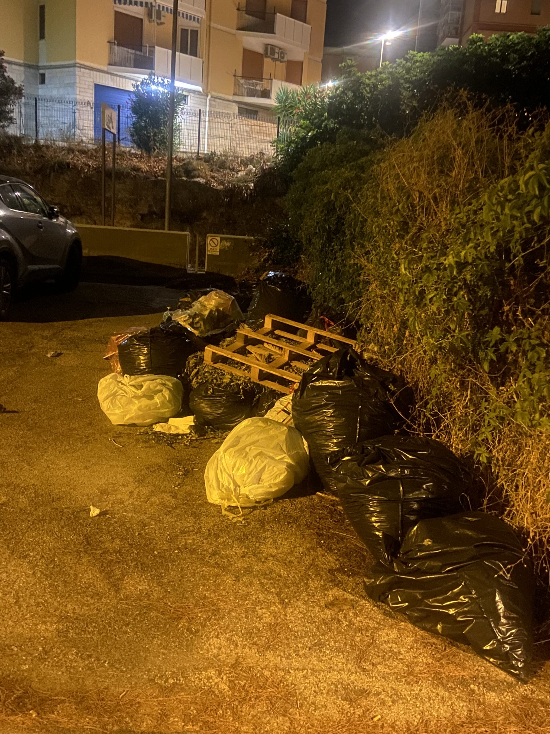 la segnalazione degrado a siponto da Ilsipontino.net la segnalazione degrado a siponto