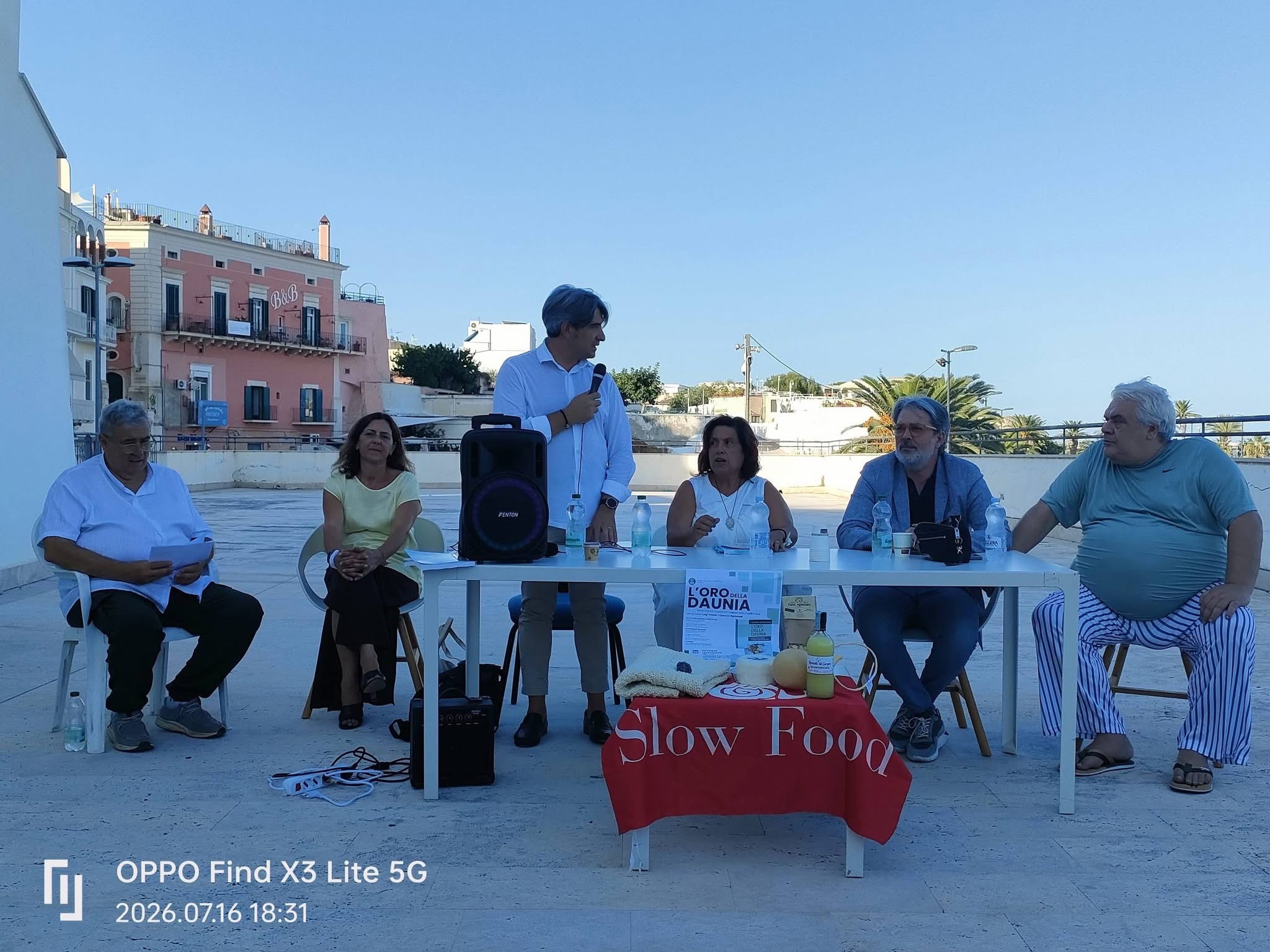 presentato a manfredonia il libro l8217oro della daunia da Ilsipontino.net presentato a manfredonia il libro l8217oro della daunia