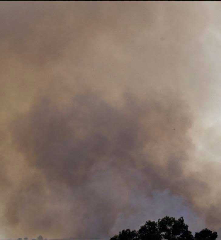 incendio a peschici la vicinanza dell8217arcivescovo franco moscone da Ilsipontino.net incendio a peschici la vicinanza dell8217arcivescovo franco moscone