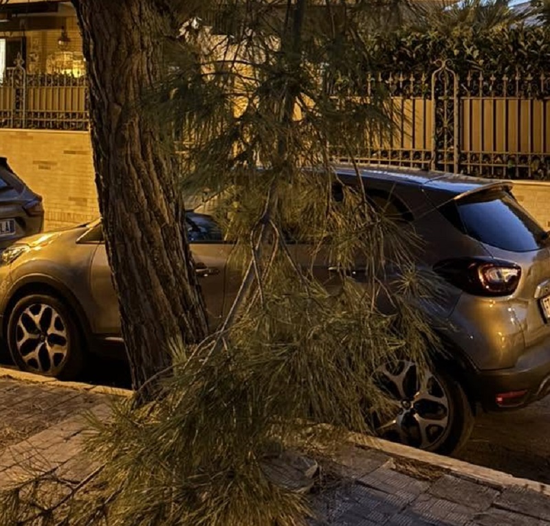 manfredonia contro replica galli a progetto popolare ciucci e presuntuosi da Ilsipontino.net manfredonia contro replica galli a progetto popolare ciucci e presuntuosi