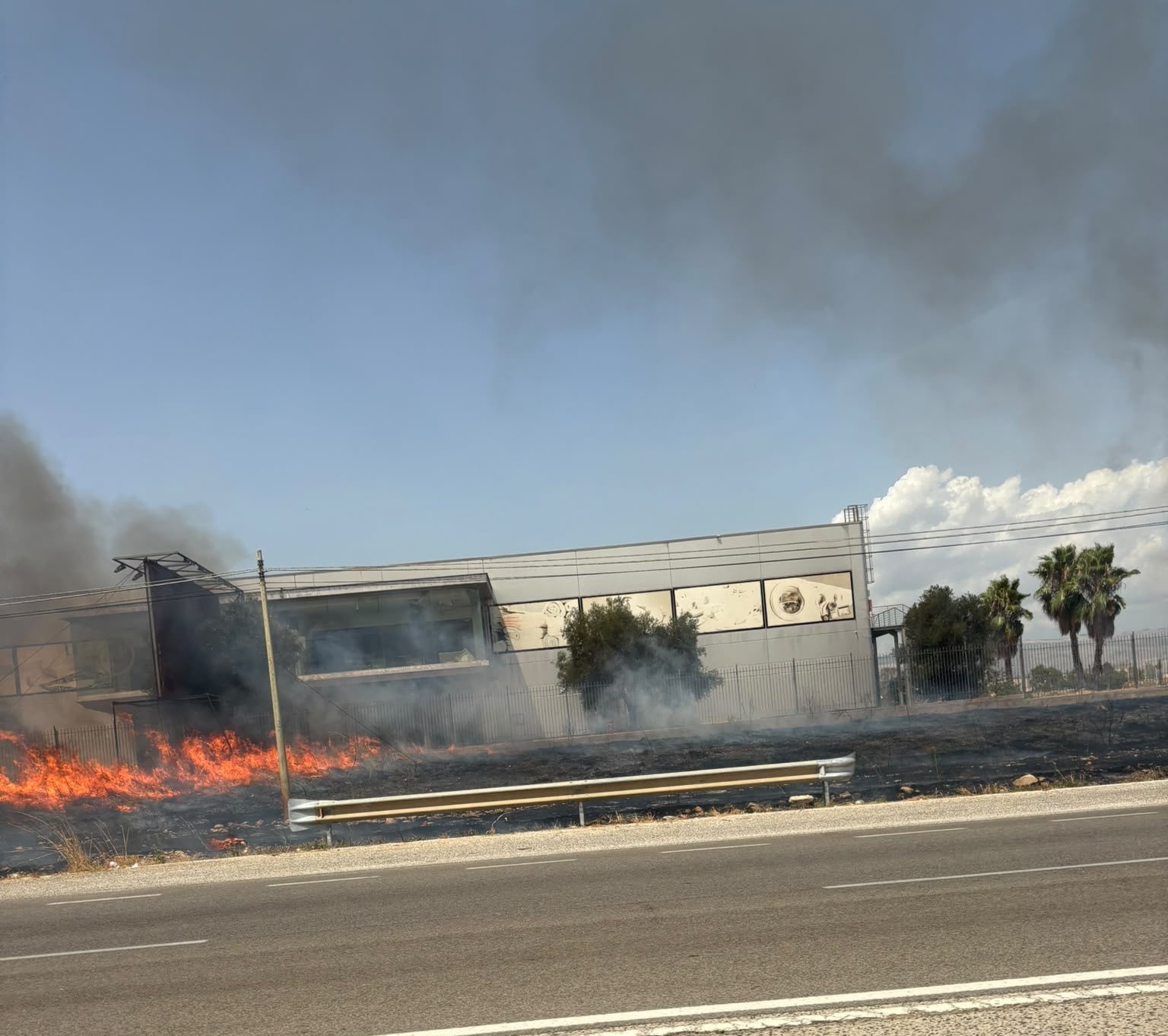 manfredonia grosso incendio in zona industriale da Ilsipontino.net manfredonia grosso incendio in zona industriale
