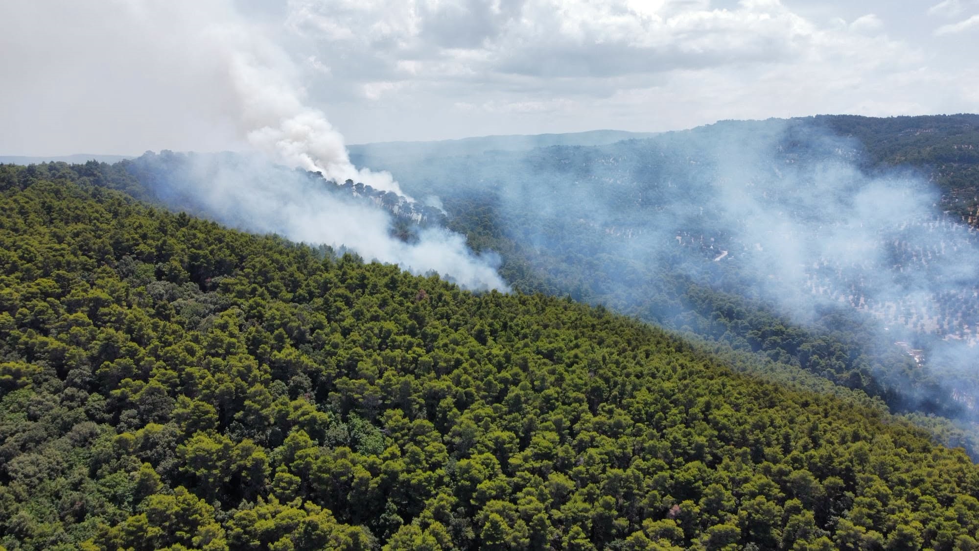 la pineta marzini e natura 2000 le dichiarazioni pubbliche meritano attenzione e responsabilit224 da Ilsipontino.net la pineta marzini e natura 2000 le dichiarazioni pubbliche meritano attenzione e responsabilit224