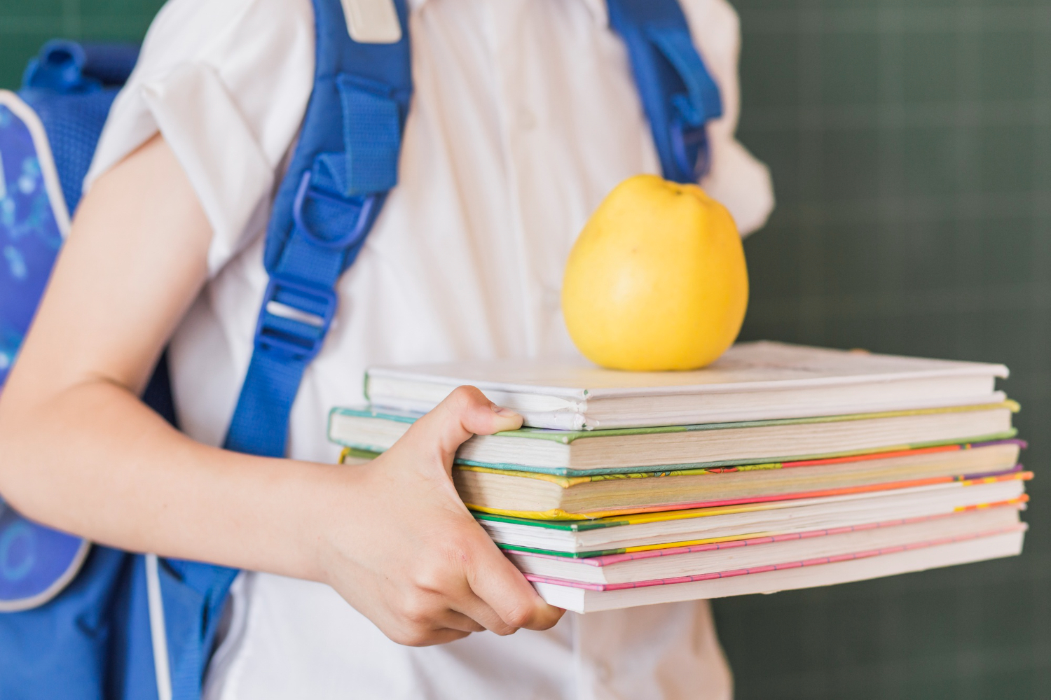 libri scolastici 2026/2027 tetti di spesa