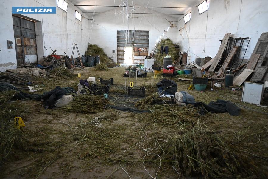 foggia la polizia di stato effettua un maxi sequestro di sostanza stupefacente per un totale di 860 kg da Ilsipontino.net foggia la polizia di stato effettua un maxi sequestro di sostanza stupefacente per un totale di 860 kg