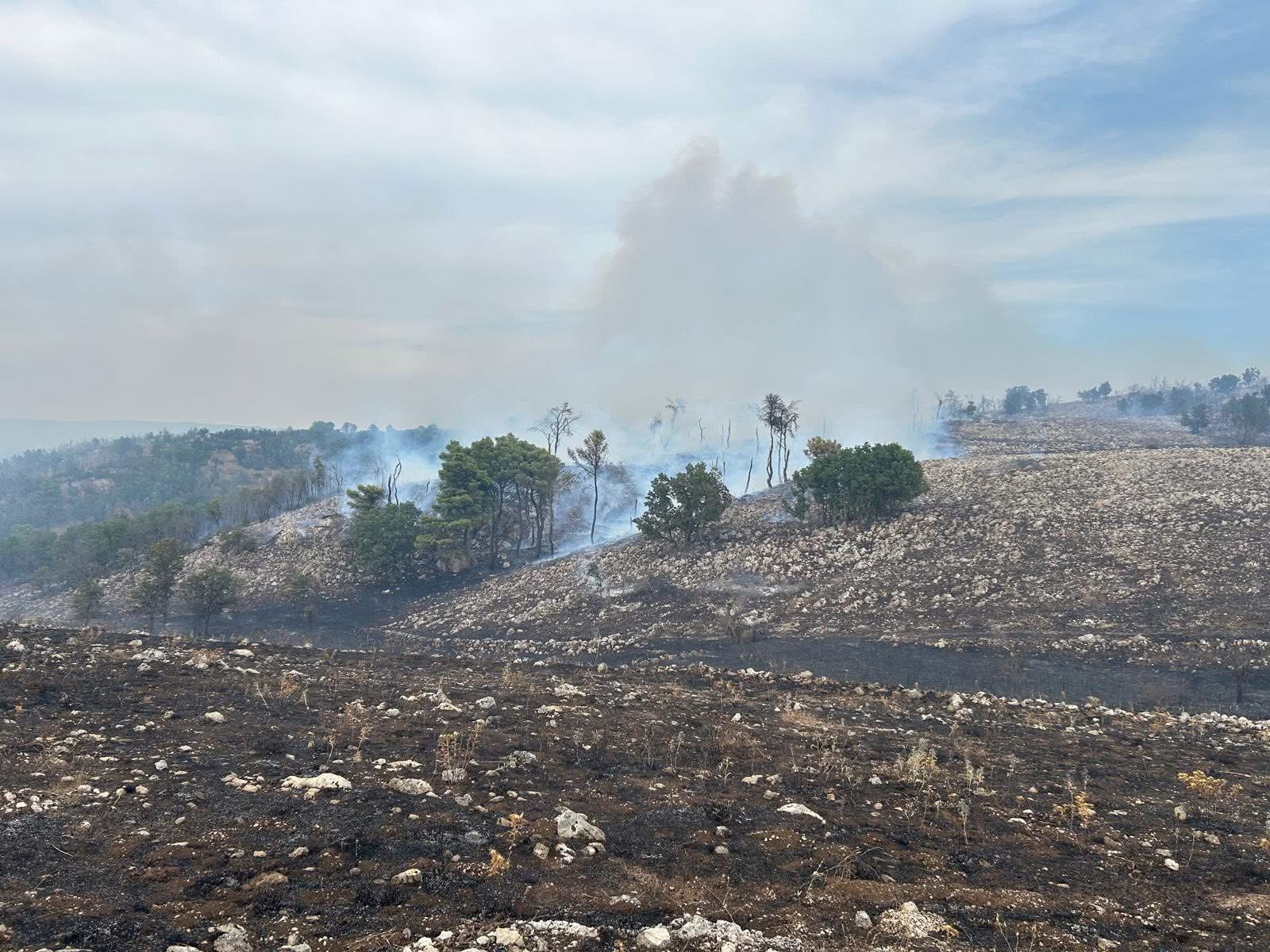 d8217arienzo la devastazione dopo gli incendi di ruggiano da Ilsipontino.net d8217arienzo la devastazione dopo gli incendi di ruggiano