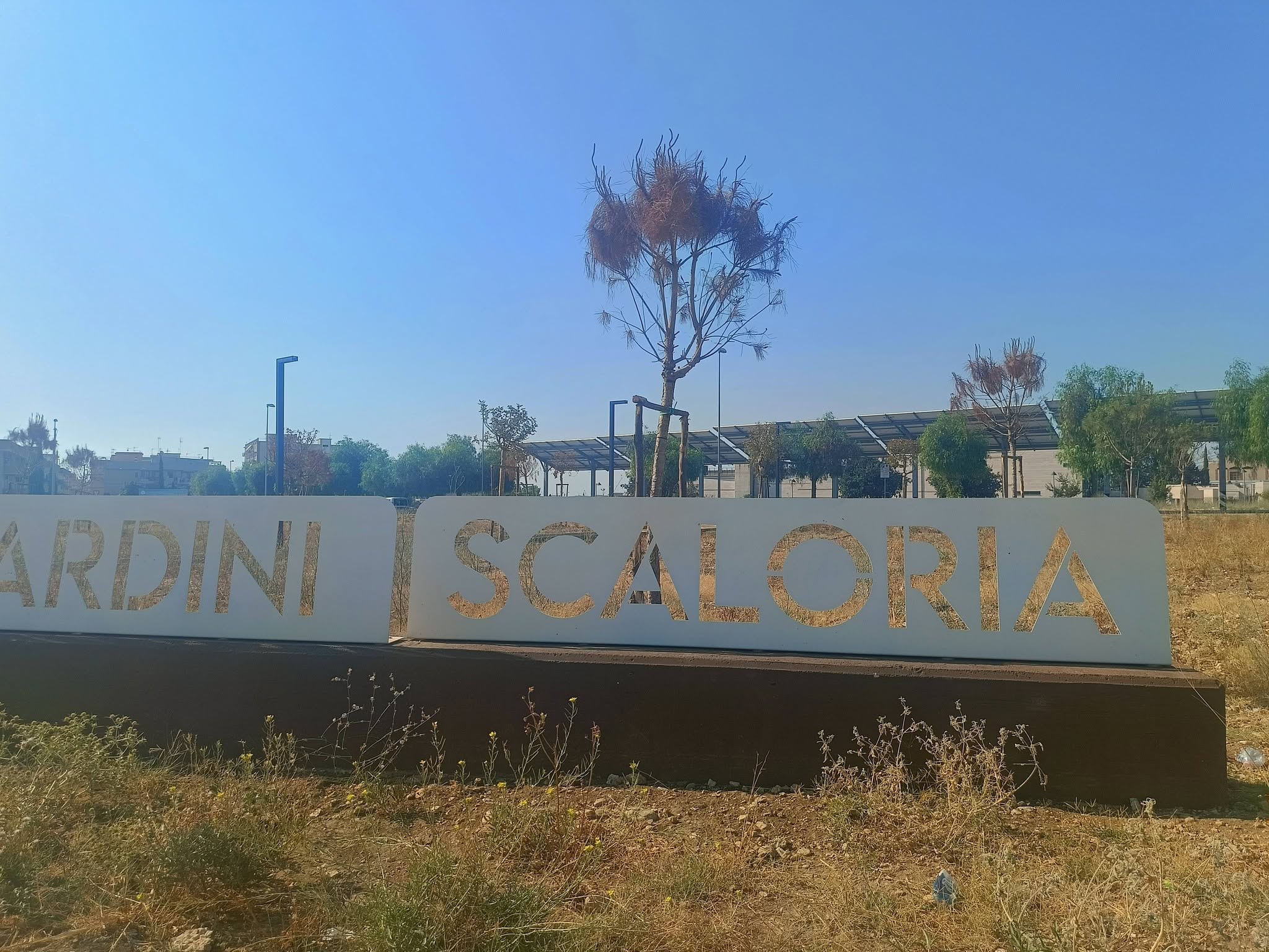 manfredonia senior park o giardini scaloria inaugurare 232 facile amministrare 232 un8217altra cosa da Ilsipontino.net manfredonia senior park o giardini scaloria inaugurare 232 facile amministrare 232 un8217altra cosa