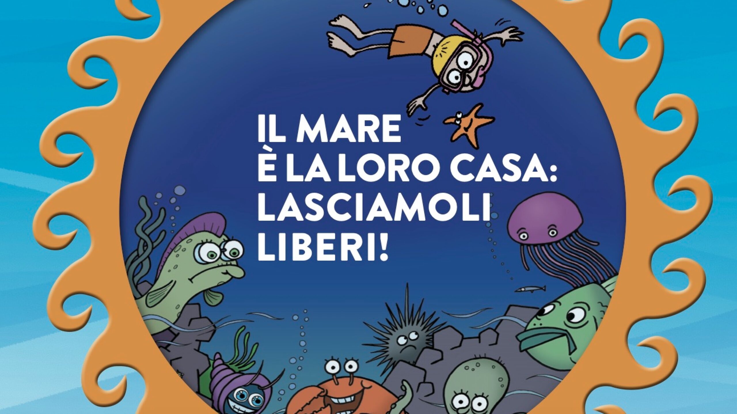 il mare 232 la loro casa 450 alunni di foggia diventano paladini delle creature marine da Ilsipontino.net il mare 232 la loro casa 450 alunni di foggia diventano paladini delle creature marine