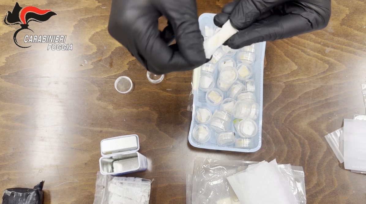 foggia oltre 14 kg di droga in casa 23enne arrestato dai carabinieri da Ilsipontino.net foggia oltre 14 kg di droga in casa 23enne arrestato dai carabinieri