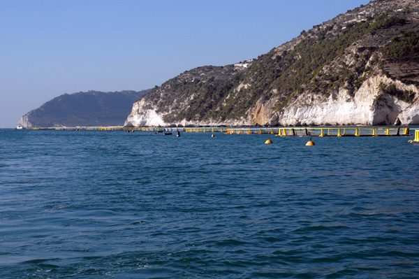 non solo campagne il caldo record mette in difficolt224 la maricoltura del gargano da Ilsipontino.net non solo campagne il caldo record mette in difficolt224 la maricoltura del gargano
