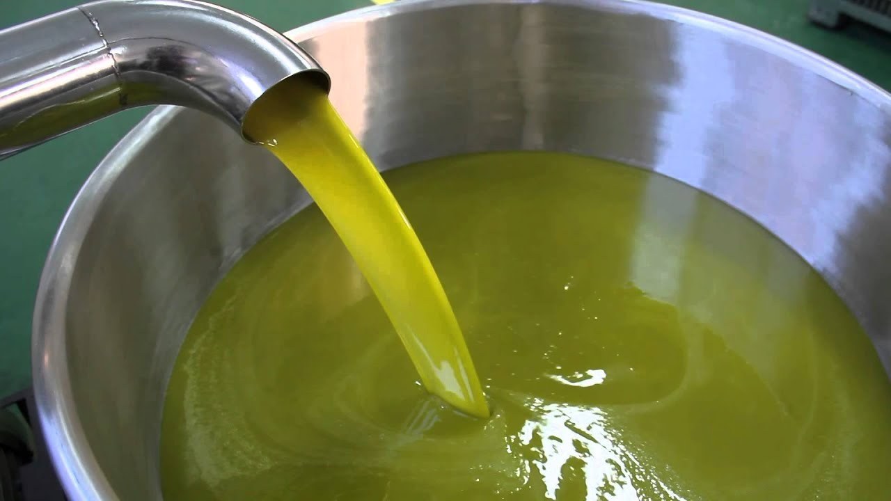 primi passi in avanti sulla crisi dell8217olio continuiamo interlocuzione con governo e regioni orgoglio olivicolo sugli sviluppi delle ultime ore da Ilsipontino.net primi passi in avanti sulla crisi dell8217olio continuiamo interlocuzione con governo e regioni orgoglio olivicolo sugli sviluppi delle ultime ore