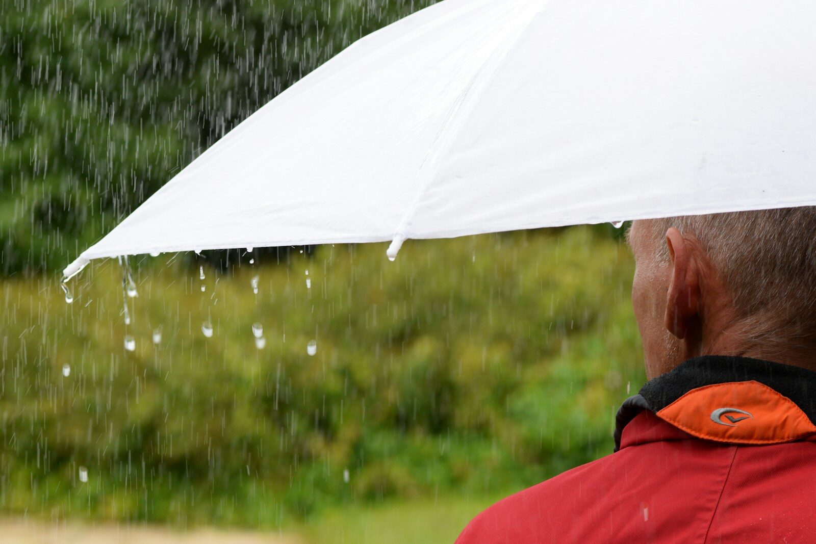 meteo per la fine del caldo bisogner224 attendere a sabato domenica maltempo da Ilsipontino.net meteo per la fine del caldo bisogner224 attendere a sabato domenica maltempo