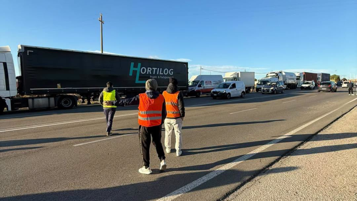 Proteste a Manfredonia, i pescatori raccontati da Il Post