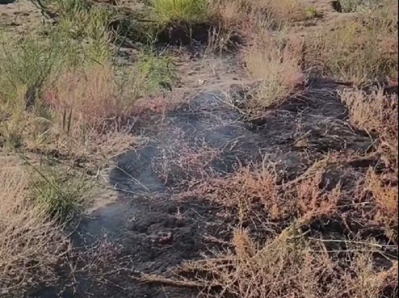 manfredonia il video di antonio castriotta che mostra incendi e rifiuti nel canneto di siponto da Ilsipontino.net manfredonia il video di antonio castriotta che mostra incendi e rifiuti nel canneto di siponto